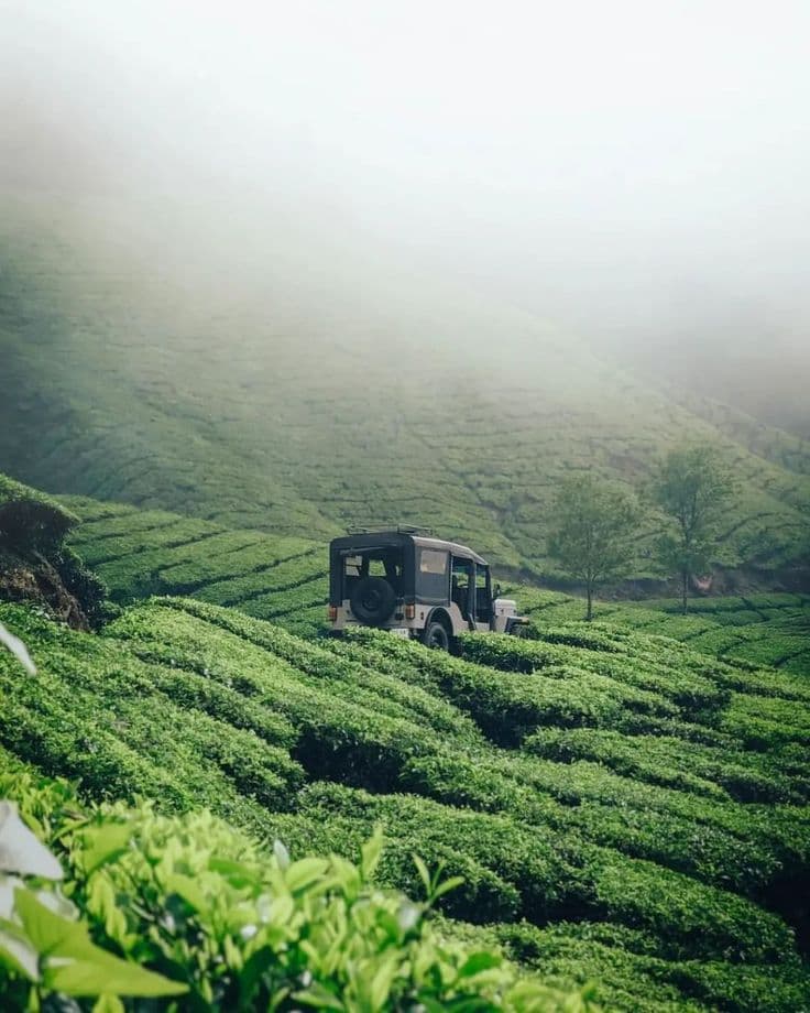 Wedding photography in Idukki