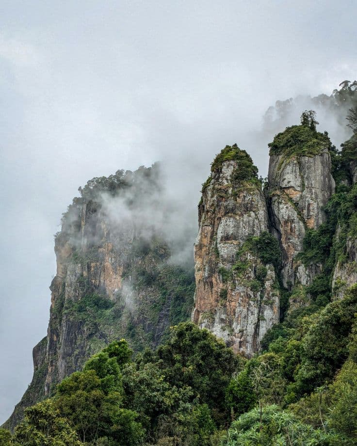 Misty cliffs and forest in Kodaikanal