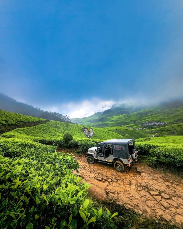 Rolling green tea hills in Munnar