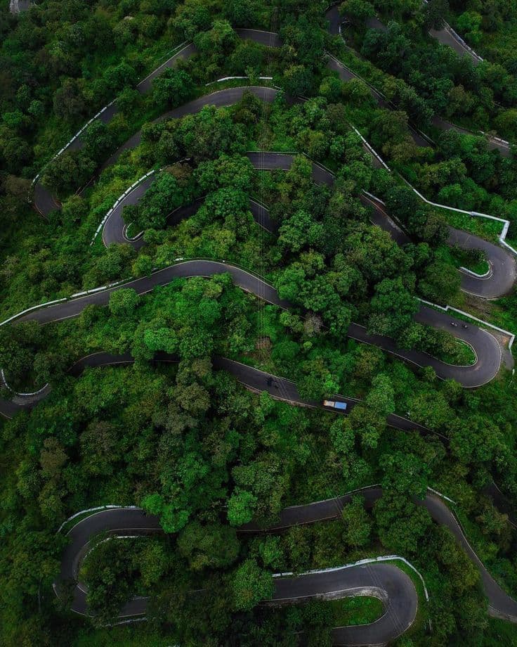 Lush hills and forest trails in Wayanad