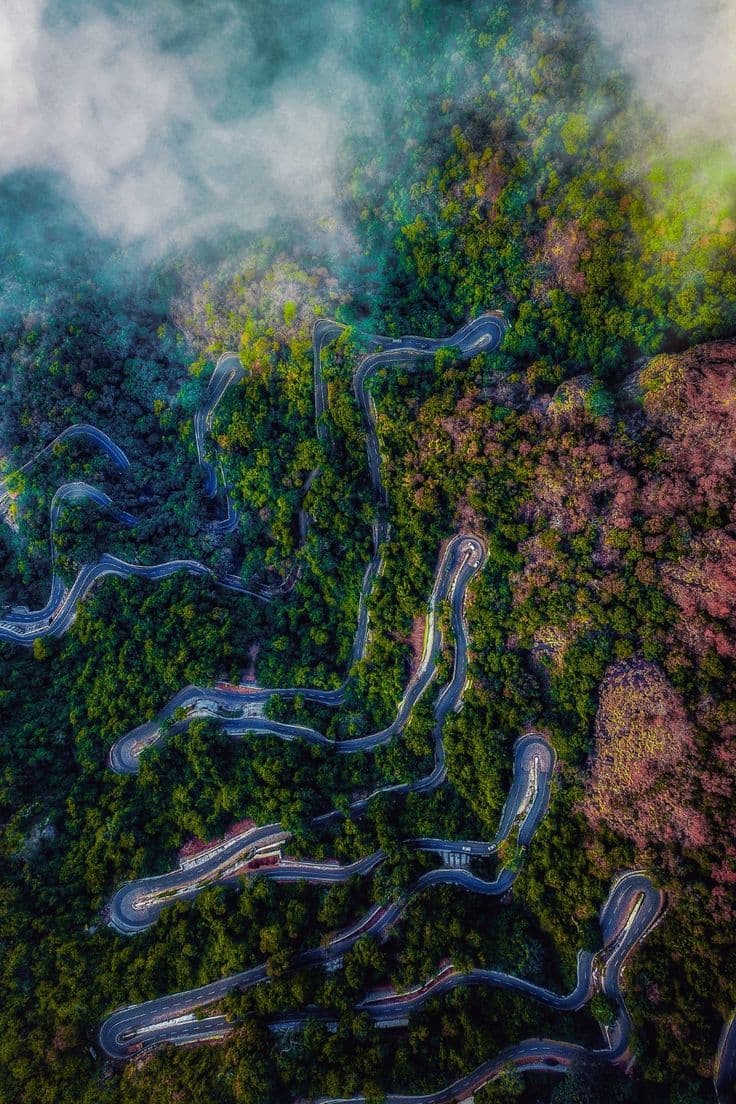 Hill station road and greenery in Yercaud